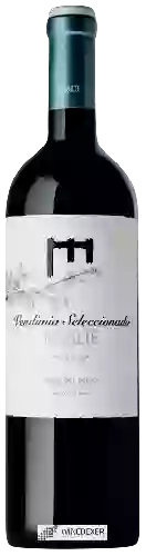 Domaine Resalte - Resalte Vendimia Seleccionada