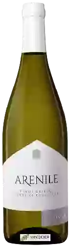 Domaine Ripa Teatina - Arenile Pinot Grigio