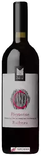 Domaine Rocca Bastia - Barbera