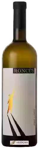 Domaine Roncús - Friulano