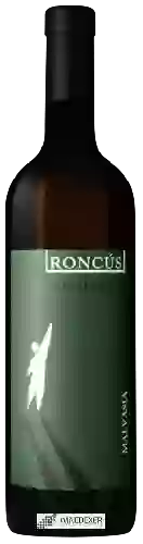 Domaine Roncús - Malvasia