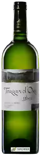 Domaine Roquebrun - Terres d'Orb Blanc