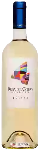 Domaine Cantina Rosa del Golfo - Bolina