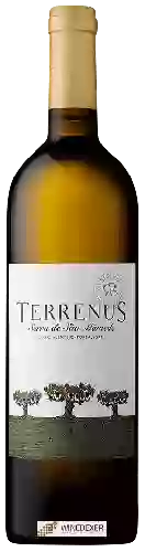 Domaine Rui Reguinga - Terrenus Branco