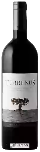 Domaine Rui Reguinga - Terrenus