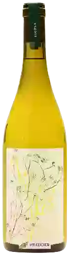 Domaine Sagona - Primi Passi