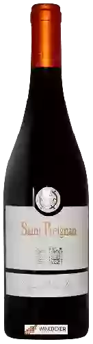 Domaine Saint Preignan - Carignan Vieilles Vignes