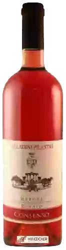 Domaine Saladini Pilastri - Marche Consenso Rosato