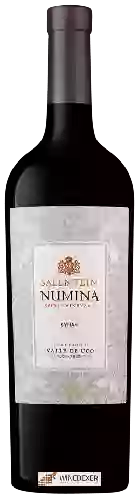 Domaine Salentein - Numina Syrah