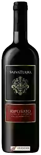 Domaine SalvaTerra - Riposato Corvina Veronese