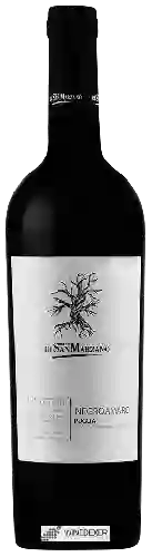 Domaine San Marzano - I Tratturi Negroamaro