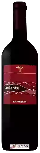 Domaine San Patrignano - Aulente Rosso