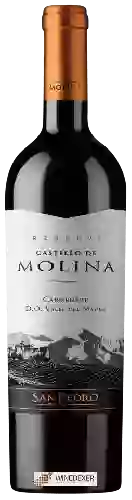 Domaine San Pedro - Castillo de Molina Carmenère (Reserva)