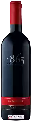 Domaine San Pedro - 1865 Reserva Carmenère