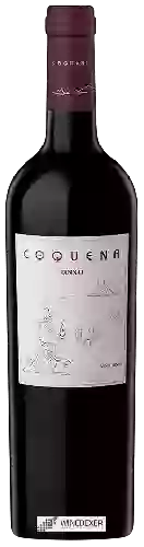 Domaine San Pedro de Yacochuya - Coquena Tannat