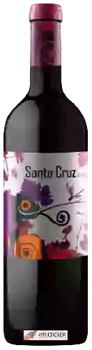 Domaine Santa Cruz de Alpera - Joven Tinto