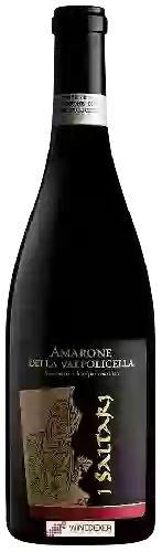 Domaine Sartori - I Saltari Amarone della Valpolicella