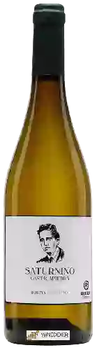 Domaine Saturnino - Verdejo