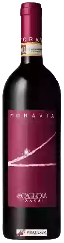 Domaine Scagliola - Foravia