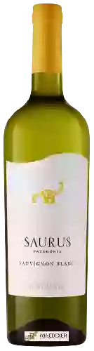 Domaine Schroeder - Saurus Sauvignon Blanc