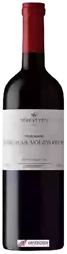 Domaine Sebestyén - Porkoláb-Völgyi Franc