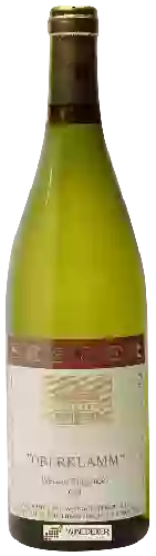 Domaine Weingut Seeger - Oberklamm Weisser Burgunder GG