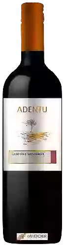 Domaine Siegel - Adentu Cabernet Sauvignon