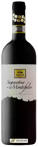 Domaine SIGNÆ - Sagrantino di Montefalco