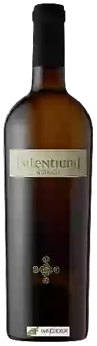 Domaine Silentium - Bianco