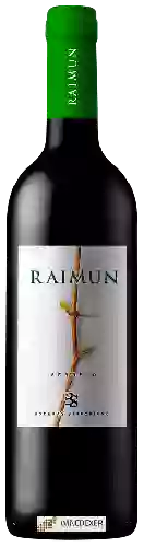 Domaine Sinforiano - Raimun Verdejo