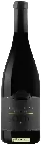 Domaine Soito - Reserva