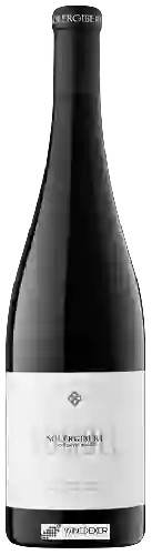 Domaine Solergibert - Sumoll Negre