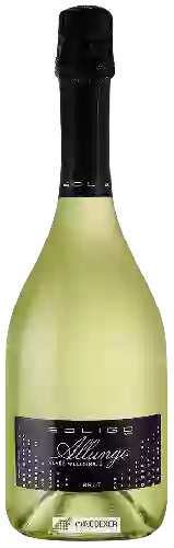 Domaine Soligo - Allungo Cuvée Millesimato Brut