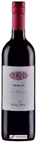 Domaine Soligo - Merlot