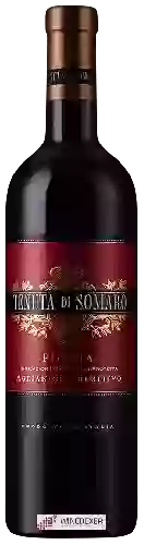 Domaine Tenuta di Somaro - Puglia Aglianico - Primitivo