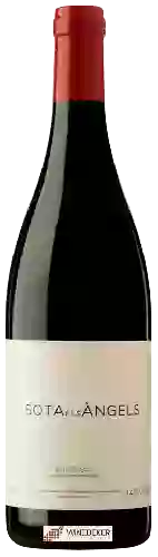 Domaine Sota els Àngels - Tinto