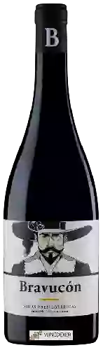 Domaine Sotero Pintado - Bravucón