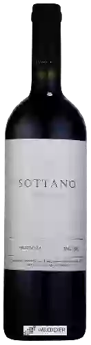 Domaine Sottano - 3S Selección Malbec