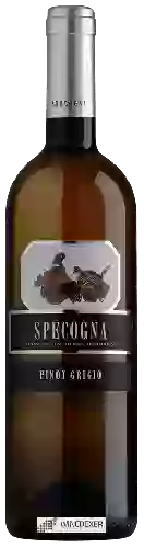 Domaine Specogna - Pinot Grigio