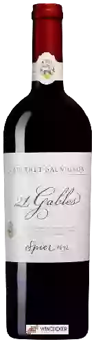 Domaine Spier - 21 Gables Cabernet Sauvignon