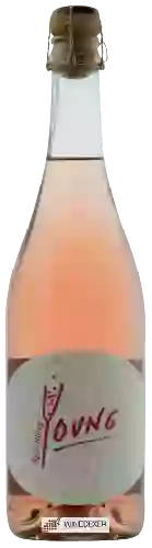 Domaine Steininger - Young Rosé