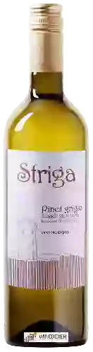 Domaine Striga - Pinot Grigio