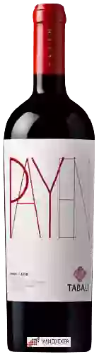 Domaine Tabali - Payen