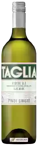 Domaine Taglia - Pinot Grigio