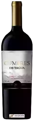 Domaine Tagua Tagua - BTT - Cumbres de Tagua Cabernet Sauvignon