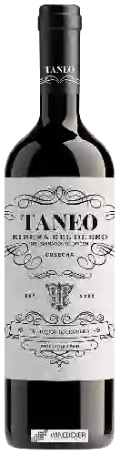 Domaine Taneo - Cosecha