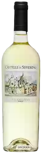 Domaine Teanum - Castelli di Severino Falanghina