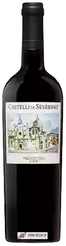 Domaine Teanum - Castelli di Severino Primitivo