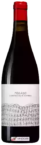 Domaine Telmo Rodriguez - Pegaso Barrancos de Pizarra