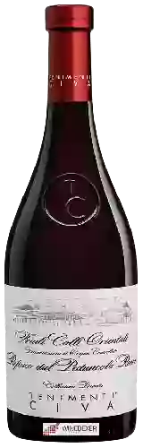 Domaine Tenimenti Civa - Collezione Privata Refosco dal Peduncolo Rosso